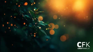 Um close-up de folhas orvalhadas com reflexos de luz e orbes brilhantes espalhados no fundo. As iniciais "CFK" e o nome "Cris Franklin" são visíveis no canto inferior direito.