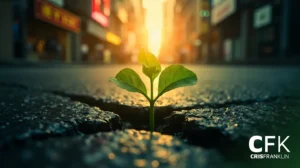 Uma pequena planta verde cresce através de uma rachadura no asfalto em uma rua da cidade ao nascer do sol, com prédios borrados ao fundo.